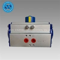 China Single Acting Rack And Pinion Actuator